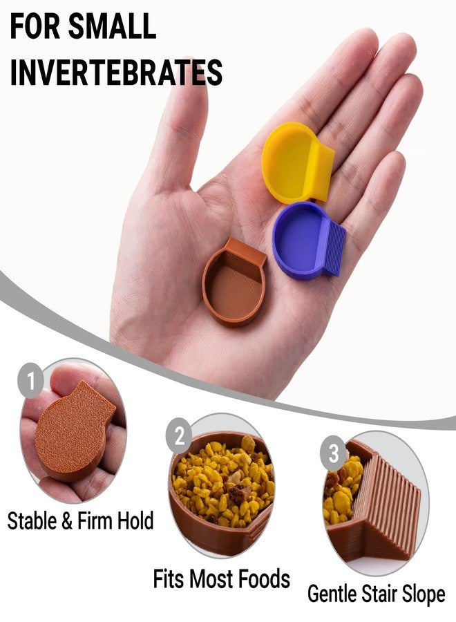 HERPDEN 12-Pack Feeding Dish for Invertebrates - Feeder Bowls for Dubia Roaches, Isopods, Springtails, Superworms, Small Insects & More - Mini Bowls for Reptile Food & Supplements - Image 2